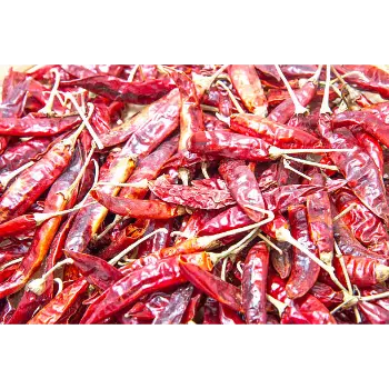 Fresh Guntur Dry Red Chilli